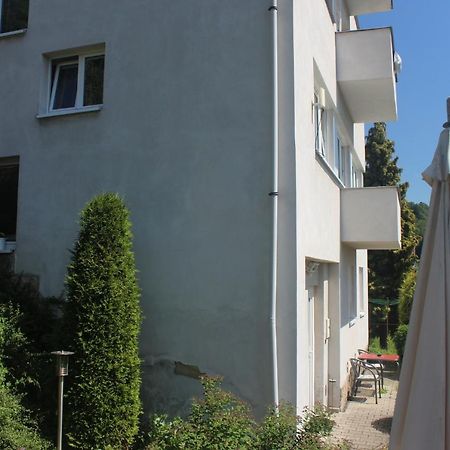Апартаменты Privat Zelezny Brod Экстерьер фото